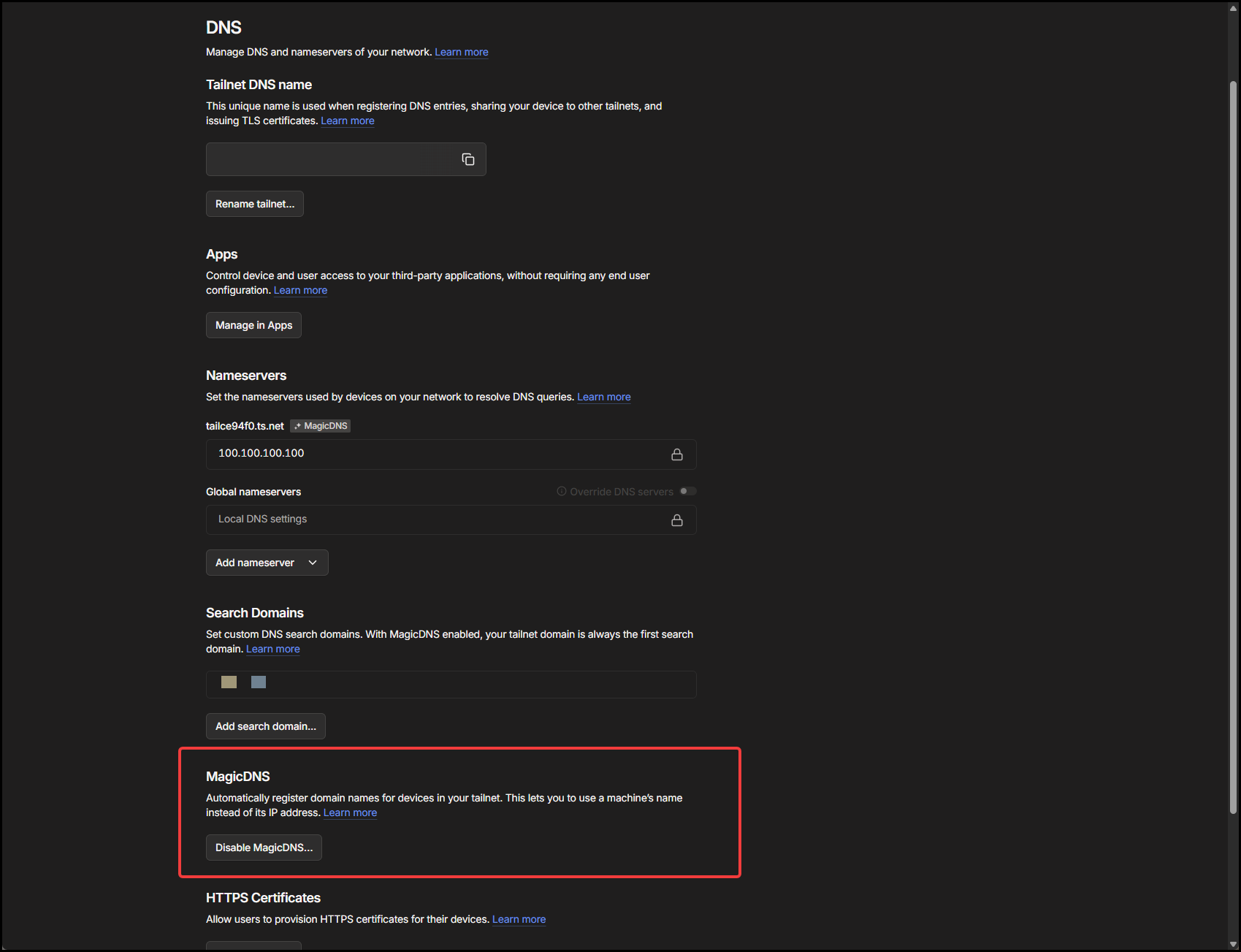 Tailscale MagicDNS settings