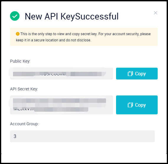 API text